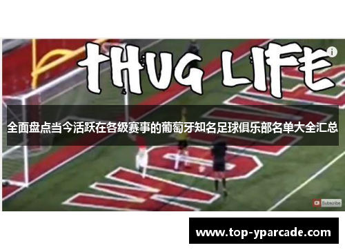 全面盘点当今活跃在各级赛事的葡萄牙知名足球俱乐部名单大全汇总 全面盘点当今活跃在各级赛事的葡萄牙知名足球俱乐部名单大全汇总