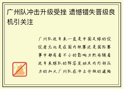 广州队冲击升级受挫 遗憾错失晋级良机引关注